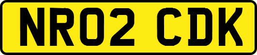 NR02CDK