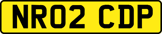 NR02CDP