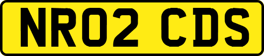NR02CDS