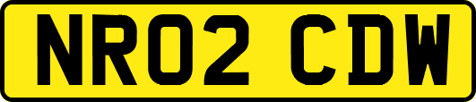 NR02CDW