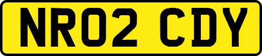 NR02CDY