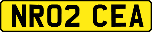 NR02CEA