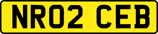 NR02CEB