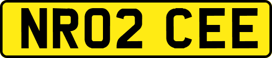 NR02CEE