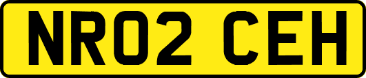 NR02CEH