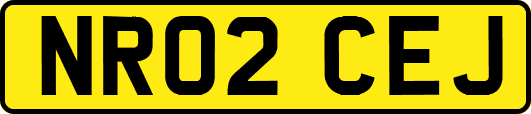 NR02CEJ