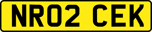 NR02CEK