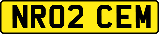 NR02CEM