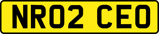 NR02CEO