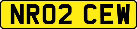 NR02CEW