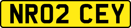 NR02CEY