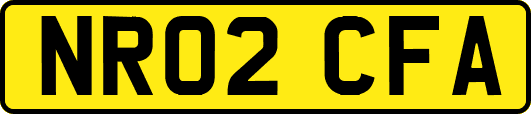 NR02CFA