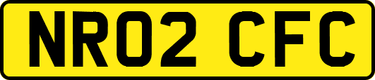 NR02CFC