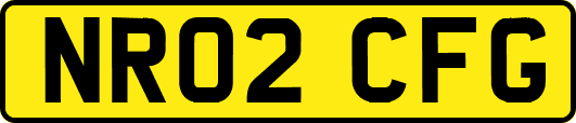 NR02CFG