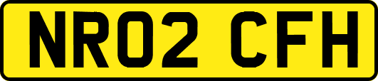 NR02CFH