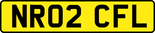 NR02CFL