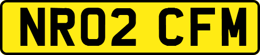 NR02CFM