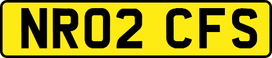 NR02CFS