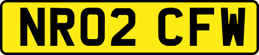 NR02CFW