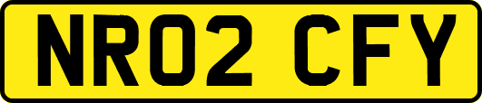 NR02CFY