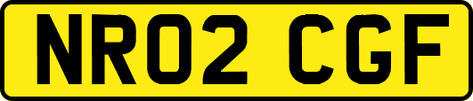NR02CGF