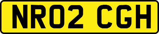 NR02CGH