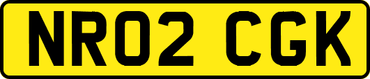 NR02CGK