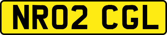 NR02CGL