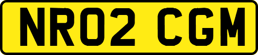 NR02CGM