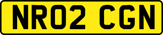 NR02CGN