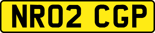 NR02CGP