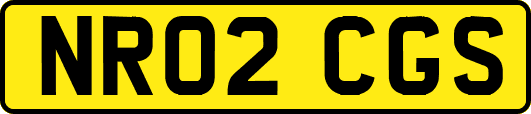 NR02CGS