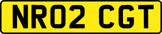 NR02CGT