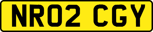 NR02CGY