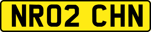 NR02CHN