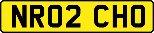 NR02CHO