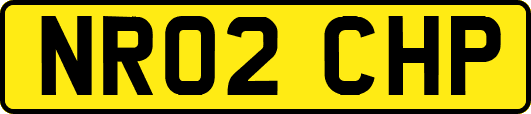 NR02CHP