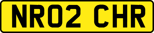NR02CHR