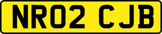 NR02CJB