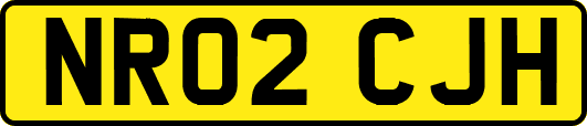 NR02CJH
