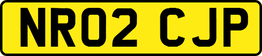 NR02CJP