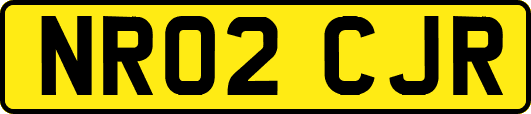 NR02CJR