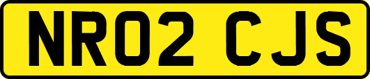 NR02CJS