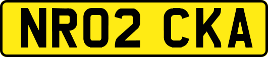 NR02CKA