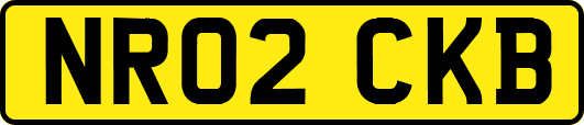 NR02CKB