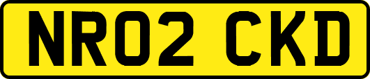 NR02CKD