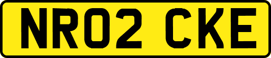 NR02CKE