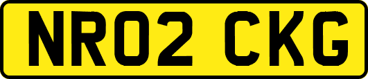NR02CKG