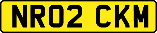 NR02CKM