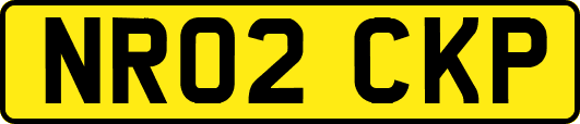 NR02CKP